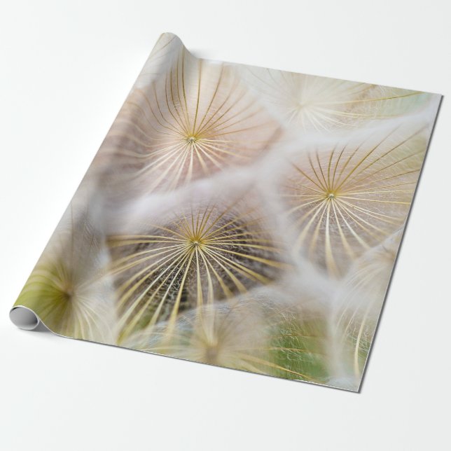 Papel De Regalo Flores de dientes de león blanco (Desenrollado)