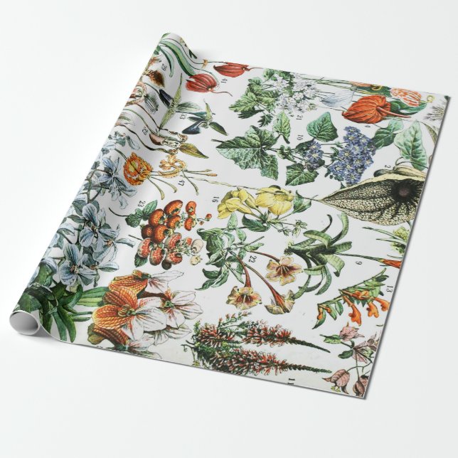 Papel De Regalo Flores de época (Desenrollado)