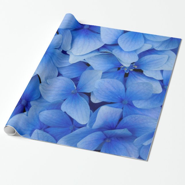 Papel De Regalo Flores de hidrangea azul (Desenrollado)