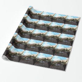 Papel De Regalo Flores de invierno en Scalea