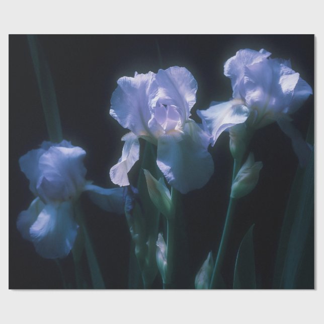 Papel De Regalo Flores de Iris al Crepúsculo (Superficie plana)