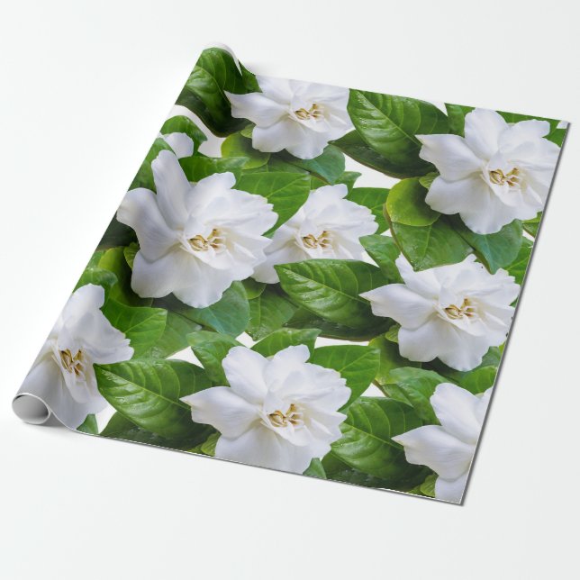 Papel De Regalo Flores de jardinería blanca y verde  (Desenrollado)