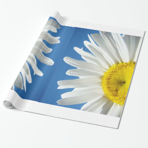 Papel de regalo Flores de Margarita Blanca Cielo A