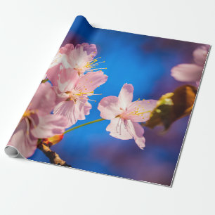 Papel De Regalo Flores de Sakura Adorables