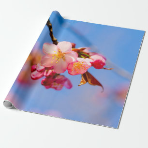 Papel De Regalo Flores De Sakura, Buds Y Cielo Azul