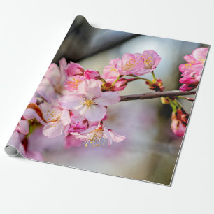 Papel De Regalo Flores De Sakura Dulces En Primavera