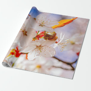 Papel De Regalo Flores De Sakura Magníficas Y Elegantes