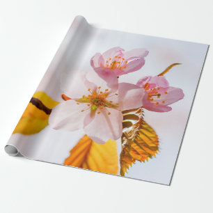 Papel De Regalo Flores De Sakura Y Fondo Rosa Suave