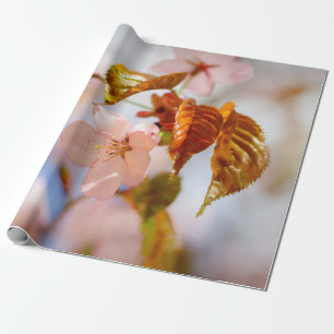Papel De Regalo Flores De Sakura Y Hojas De Naranja