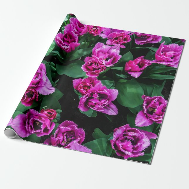 Papel De Regalo Flores de tulipanes rosados (Desenrollado)