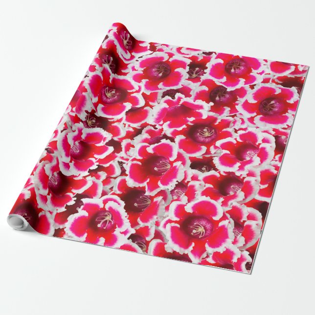 Papel De Regalo Flores de Weigela Florida (Desenrollado)