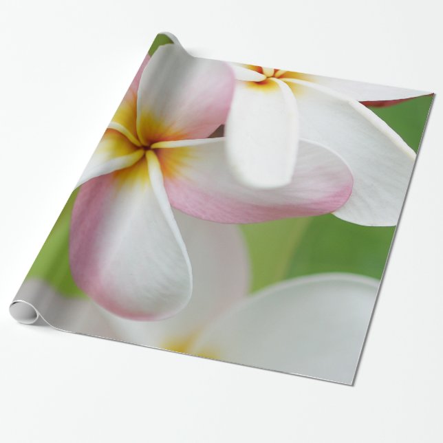 Papel De Regalo Flores del Hawaiian de la flor de Hawaii del (Desenrollado)