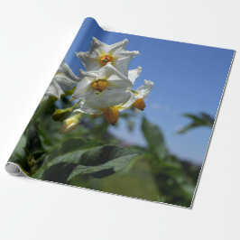 Papel De Regalo Flores estrelladas Solanum tuberosum