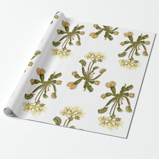 Papel De Regalo flores florales venus flytrampa (Desenrollado)