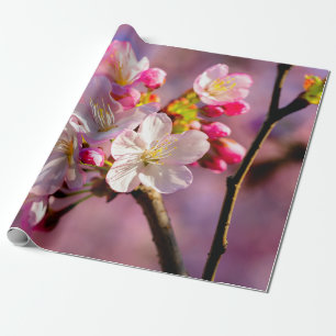 Papel De Regalo Flores Frescas De Sakura En El Jardín