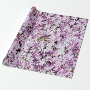 Papel De Regalo Flores moradas fondo de frescor floreciente verano