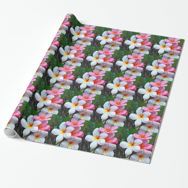 Papel De Regalo Flores plumeria frangipani (Desenrollado)