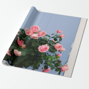 Papel De Regalo Flores rojas con hojas verdes en la pared azul