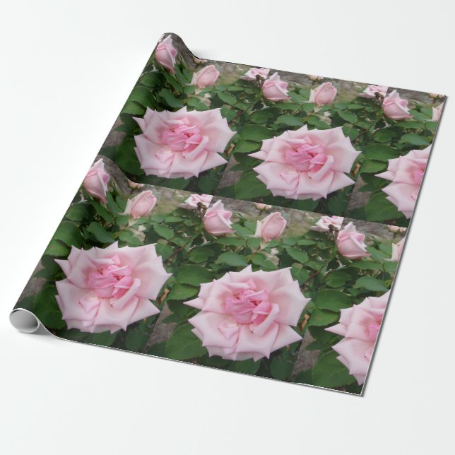 Papel De Regalo Flores rosas rosadas jardín florido Envoltura (Desenrollado)