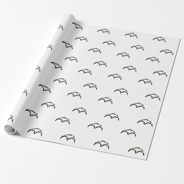 Papel De Regalo Flying Pelican 2 (Desenrollado)