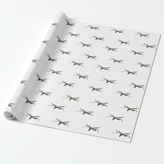 Papel De Regalo Flying Pelican 3