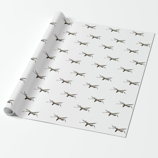 Papel De Regalo Flying Pelican 3 (Desenrollado)