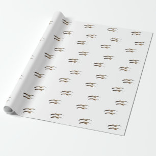 Papel De Regalo Flying Pelican 4