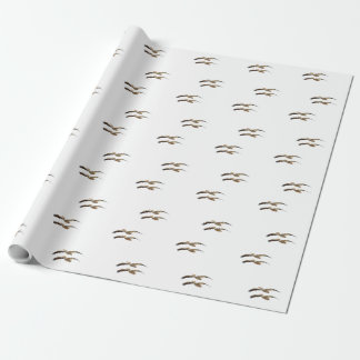 Papel De Regalo Flying Pelican 4