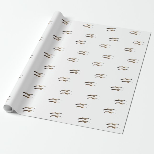 Papel De Regalo Flying Pelican 4 (Desenrollado)