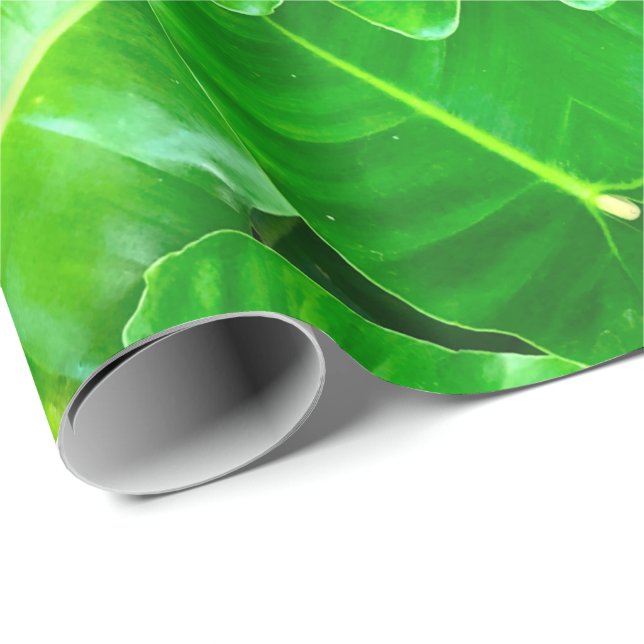 Papel De Regalo Foliage verde tropical (Esquina del rollo)