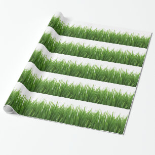 Papel De Regalo fondo de hierba verde
