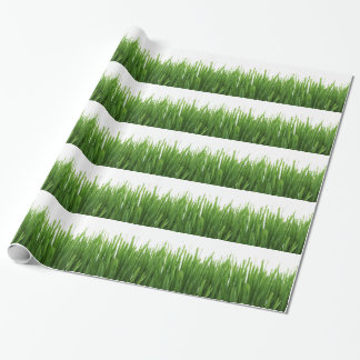 Papel De Regalo fondo de hierba verde