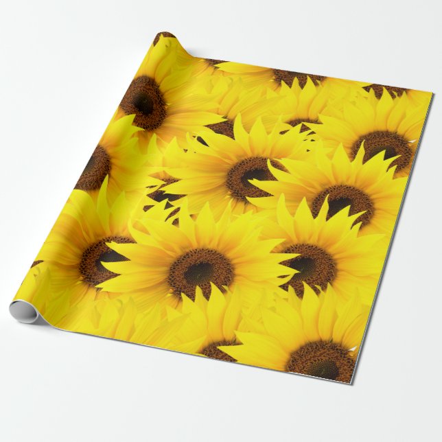 Papel De Regalo Fondo de los girasoles (Desenrollado)