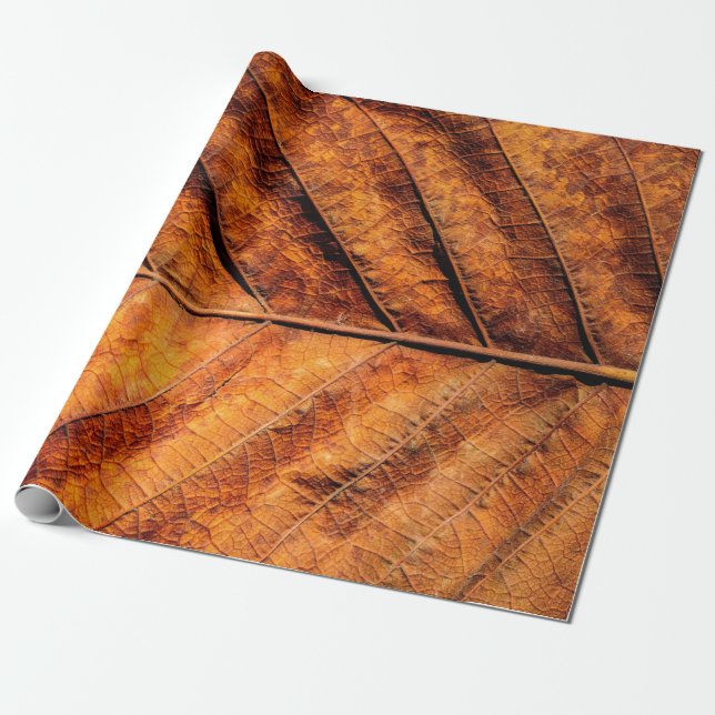 Papel De Regalo Fondo de textura de hoja seca (Desenrollado)