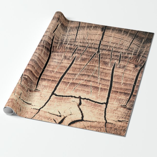 Papel De Regalo fondo de un stumpabstracto de madera, edad, enveje (Desenrollado)