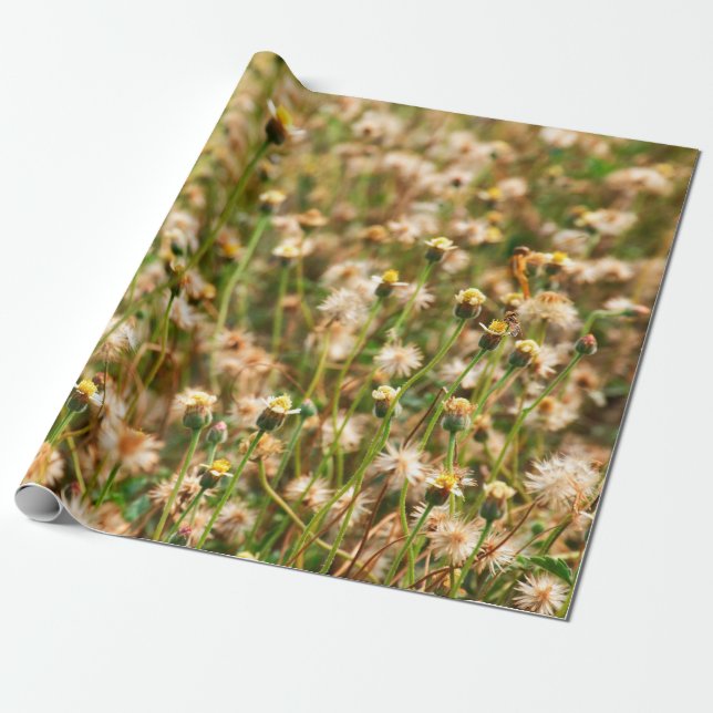 Papel De Regalo Fondo natural con fondo de césped, bea (Desenrollado)