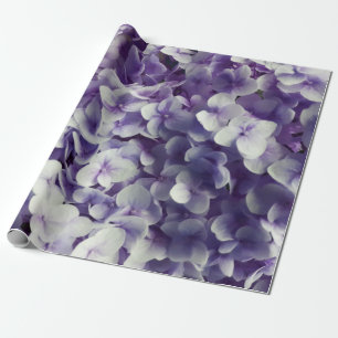 Papel De Regalo Fondo púrpura de la flor del Hydrangea