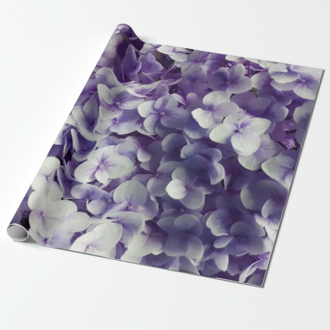 Papel De Regalo Fondo púrpura de la flor del Hydrangea (Desenrollado)