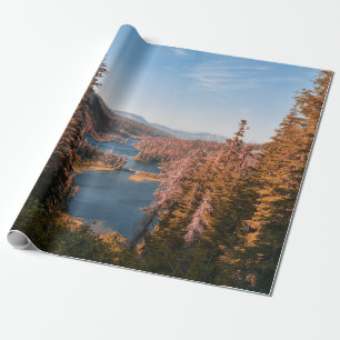 PAPEL DE REGALO FOTO DE ÁRBOLES CERCA DEL CUERPO DEL AGUA DURANTE