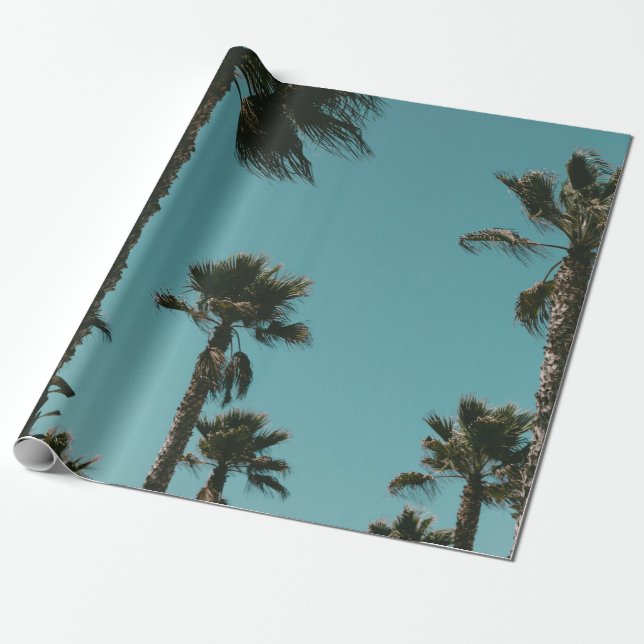 Papel De Regalo Foto de árboles en ángulo bajo por la mañana (Desenrollado)