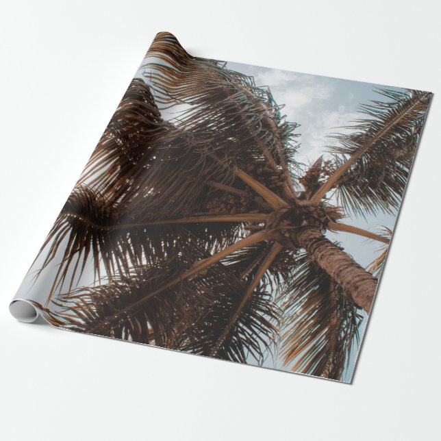 PAPEL DE REGALO FOTO DE BAJO ÁNGULO DE ÁRBOL DE COCOTERO (Desenrollado)