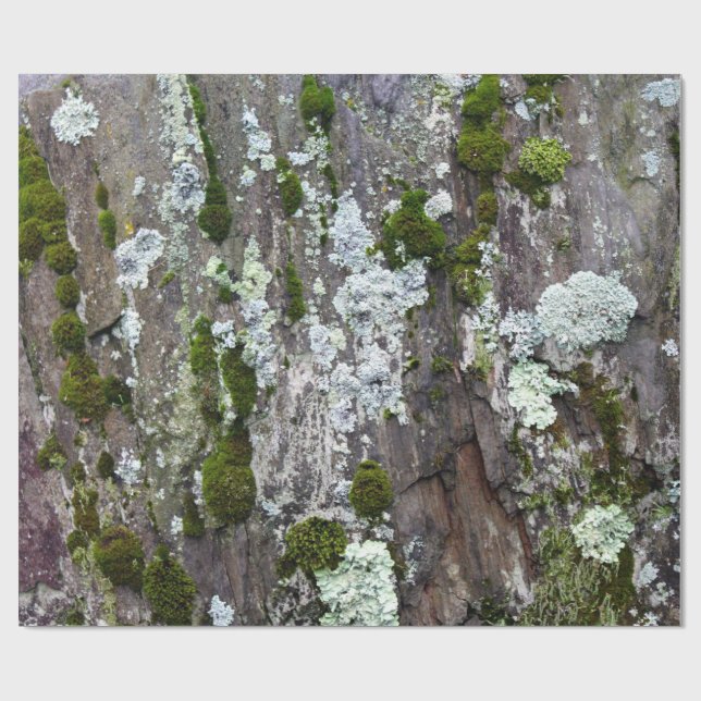 Papel De Regalo Foto de camuflaje de Nature Moss Lichen (Superficie plana)