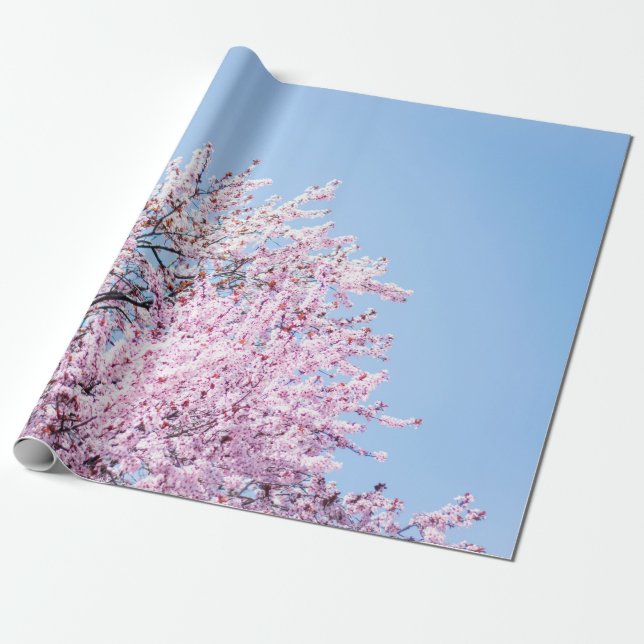 PAPEL DE REGALO FOTO DE CHERRY BLOSSOM TREE (Desenrollado)