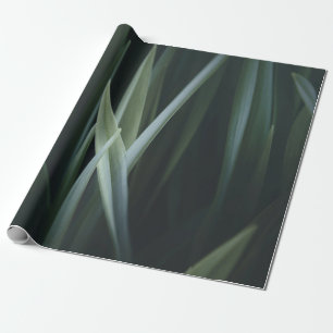 Papel De Regalo Foto de cierre de hojas lineales verdes