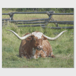 Papel De Regalo Foto de Cow Texas Longhorn
