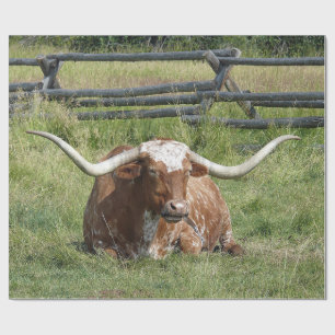 Papel De Regalo Foto de Cow Texas Longhorn