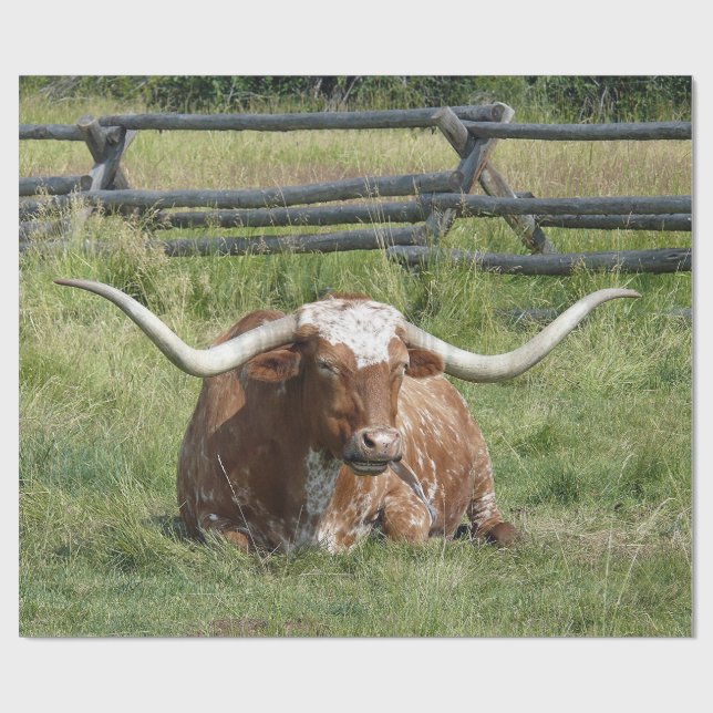 Papel De Regalo Foto de Cow Texas Longhorn (Superficie plana)