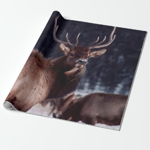 PAPEL DE REGALO FOTO DE DEFENSA DE BROWN DEER