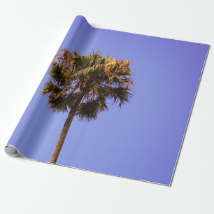 Papel De Regalo Foto de enfoque superficial del árbol verde