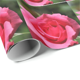 Papel De Regalo foto de flor de rosa rosa caliente de verano perfe